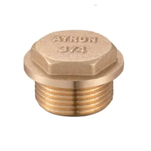 Ayron Brass Plug 15mm