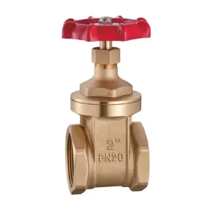 Ayron Gate Valve 1" Brass