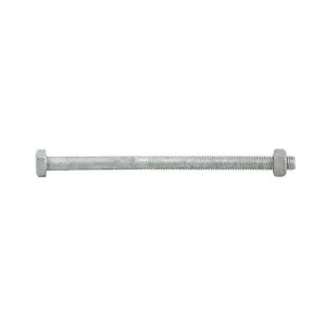 Bolt & Nut Galv Hex M6 x 100