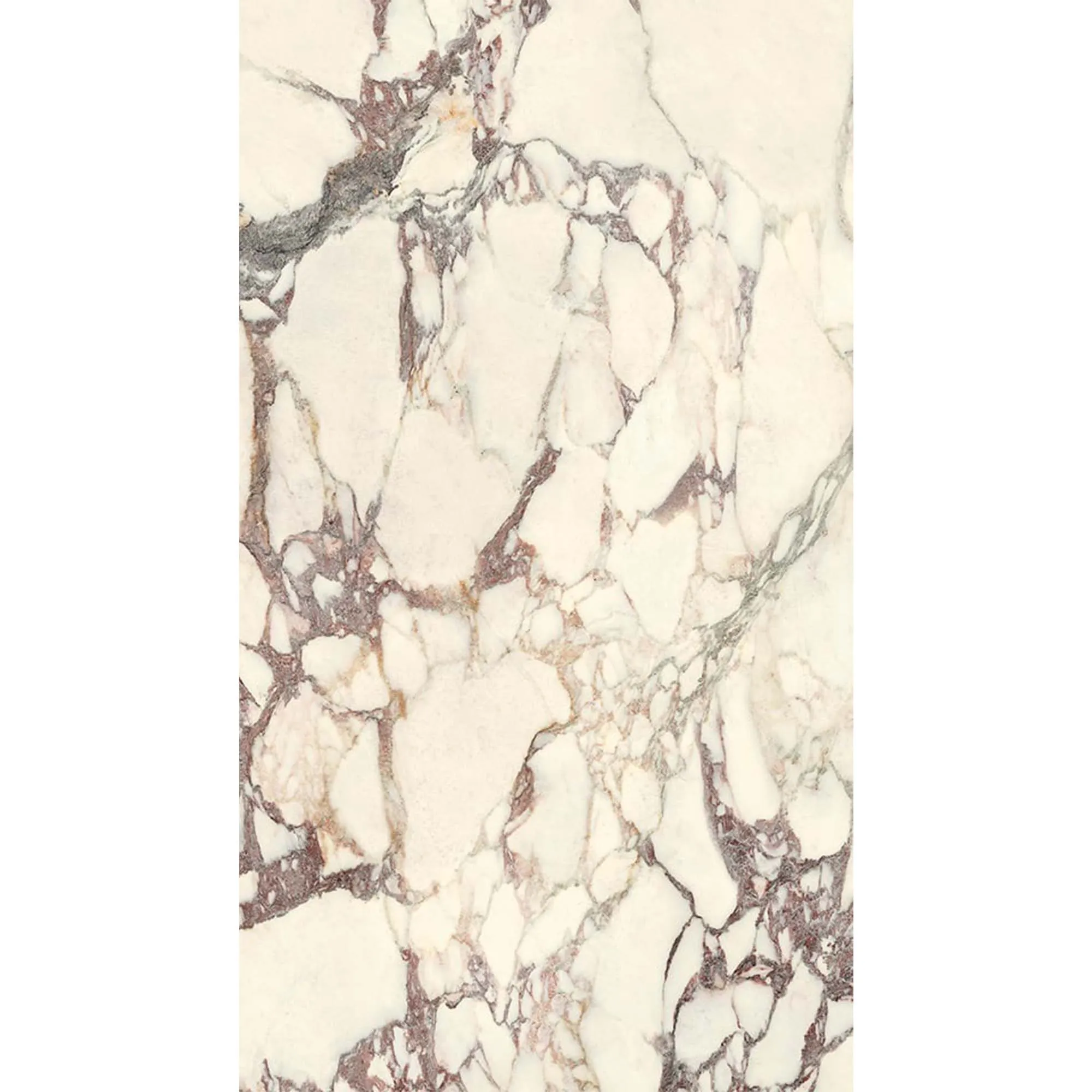 Breccia Medicea Marble Effect Porcelain Tile 60x120cm Matt
