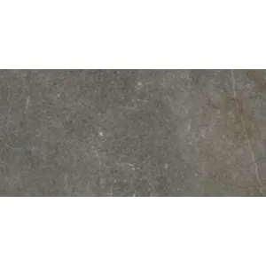 Guocera Floor Tile 600x300 #SSR345D-1 Porcelain Dark Grey (8pc/1.44sqm Ctn)