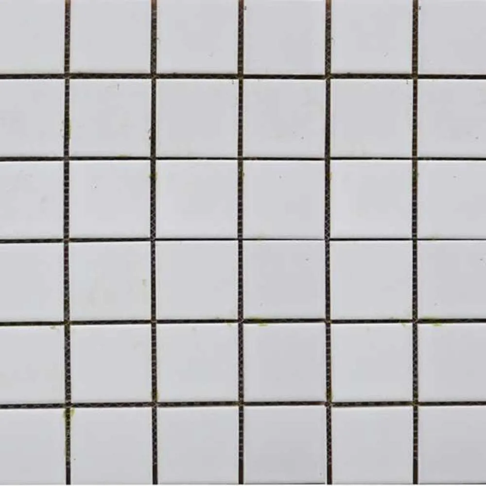 Heyse Mosaic Tile 300 x 300 #4801 Ceramic White (22pc/2sqm Ctn)