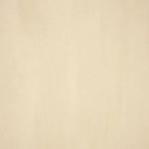 Nanhai Floor Tile 600 x 600 #PD6102 Ceramic Rustic (4pc/1.44sqm Ctn)