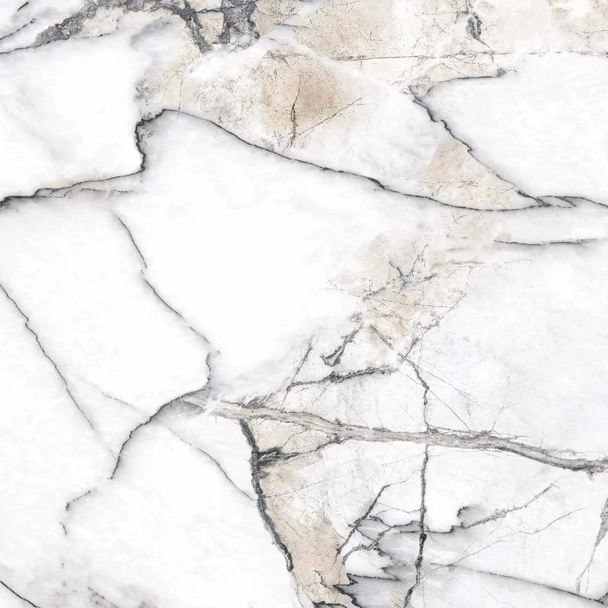 Premiere White 4D Shaped Marble Effect Porcelain Tile 100x100cm Matt